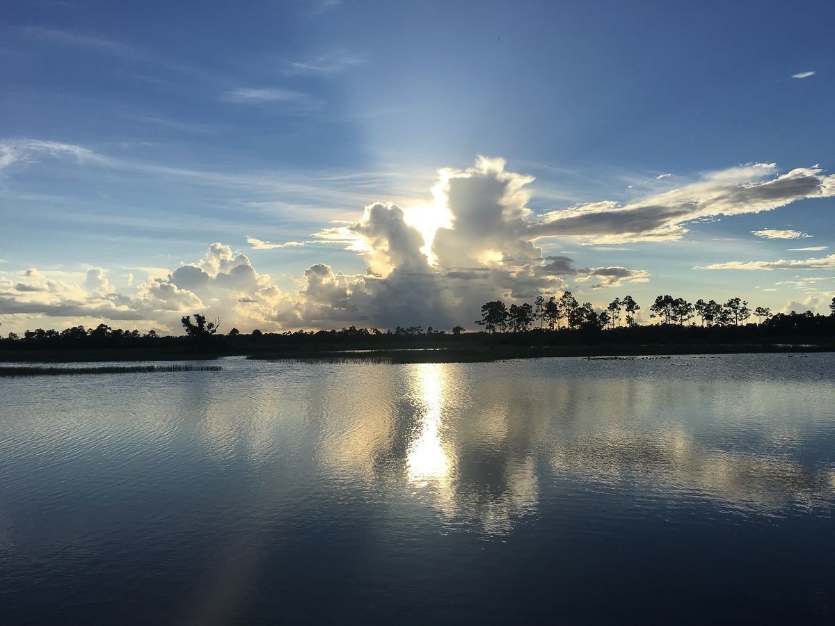 sunset at Pine Glades Natural Area in Florida Swamps